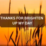Thanks For Brighten Up My Day Messages